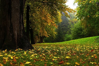 Wallpapers Nature Super Hd Mix 2560x1600