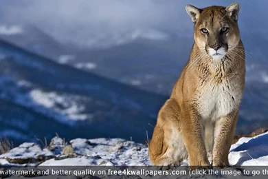 Page 4 Of Best Mountain 4K Or HD Wallpapers