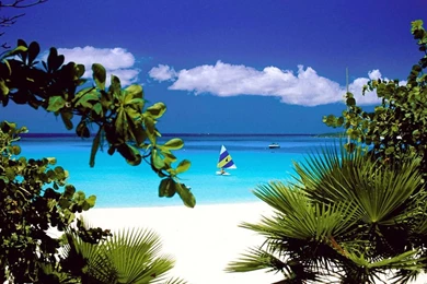 Galerie Wallpapers ]   Suntem Sursa Ta Zilnica De Wallpaper uri ...