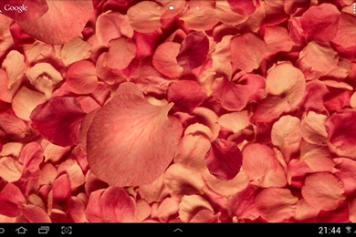 Petals 3D Live Wallpapers For Samsung Galaxy Tab 3 7.0 – Free ...