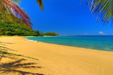 Gus Wallpaper: Summer Wallpapers For Desktop