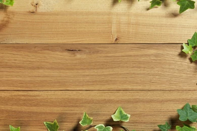 Download Wallpapers Texture Of The Wood (1920 X 1080 HDTV 1080p ...