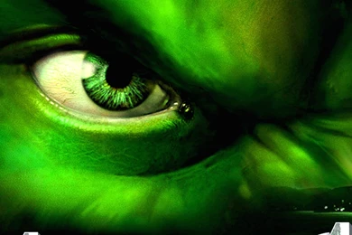 Hulk Full Hd Wallpapers   Image Detail