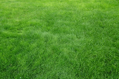 2560x1600 Textures Wallpapers, Desktop Backgrounds HD Downloads ...