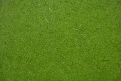 Lime Hi Res Backgrounds Bing Images