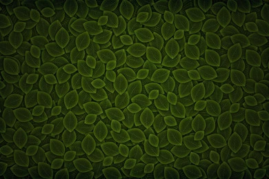 Green Grass Backgrounds Twenty seven