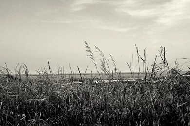 Black And White Backgrounds Awesome 600 NextFinish.com