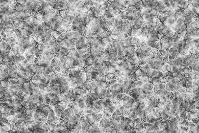 Black And White Backgrounds Texture By DonnaMarie113 On DeviantArt