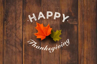 Happy Thanksgiving Backgrounds Vector Graphic — Abstract