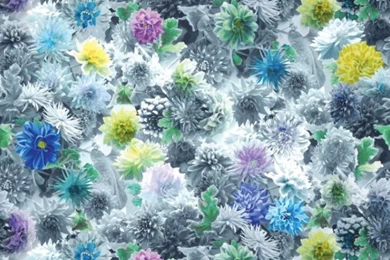 Wallpapers Love: Fab Florals From Designers Guild