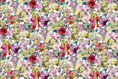 Orangerie   Rose Wallpapers