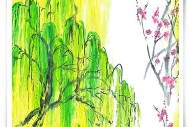 Designers Guild Wallpapers