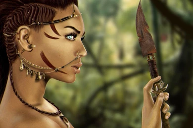 THE WOMAN WARRIOR WALLPAPER   (