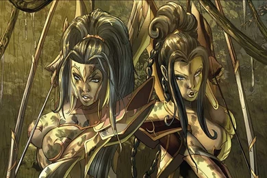 Women Warrior Computer Wallpapers, Desktop Backgrounds