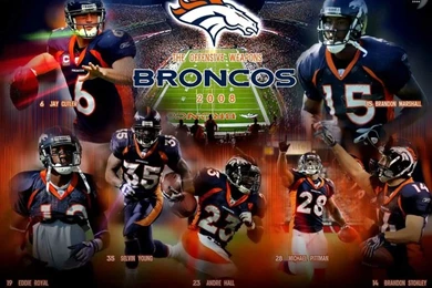Denver Broncos On Pinterest