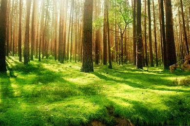 2013 Top 10 Most Beautiful Free Scenery Images Wallpapers