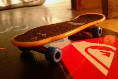 Tech Deck Tony Hawk