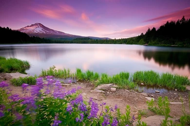 Beautiful Nature Wallpapers In 1080P Full HD Size With Purple Views ...
