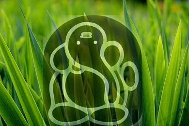 Lord Ganesh Wallpapers In HD   ॐ गणेशाय नमः