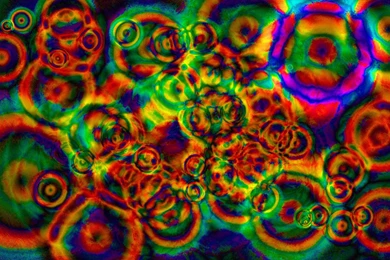 Shroom Backgrounds   Wallpapers Cave