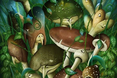 Shrooms By Jeshannon On DeviantArt