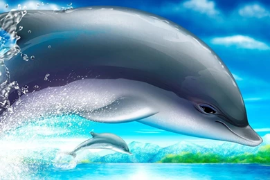 Free Dolphin Wallpapers For Desktop   Wallpapers Cave