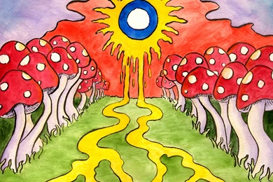 Download Free HQ Mushrooms Wallpapers   Hqwallbase.pw