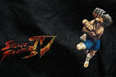 Street Fighter Sagat Street Fighter IV Wallpapers