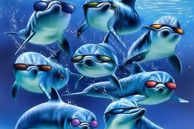 Dolphin Desktop Wallpapers   Wallpapers Cave