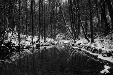 2560x1440 Winter In Black And White Desktop PC And Mac Wallpapers