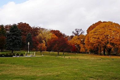 Forests: Autumn Park Peaceful Scenic Tranquil Free Desktop ...