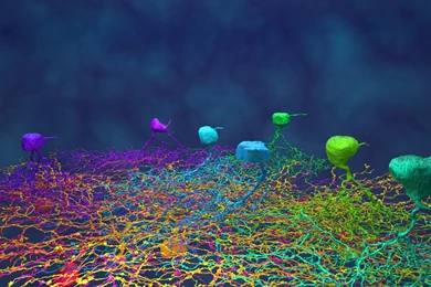 Desktop Backgrounds KLP060 – Wallpaperjosh