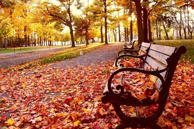 A Beautiful Wallpapers   HD Wallpapers Lovely