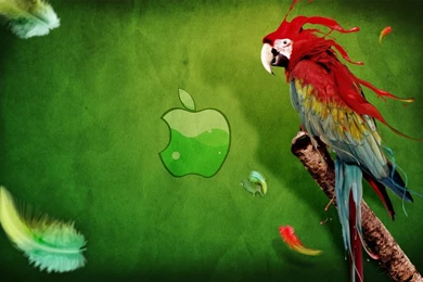 Amazing Mac Desktop Wallpapers