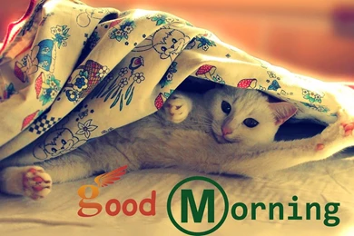 Shayari Hi Shayari: Wallpapers Good Morning Images ,Hindi Shayari ...