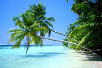 Free Beach Desktop Wallpapers   Wallpapers Cave