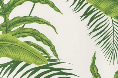 Fpc  BT154744 ― Eades Discount Wallpapers & Fabric Seabrook ...