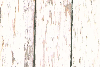 CT13281 ― Eades Discount Wallpapers & Discount Fabric