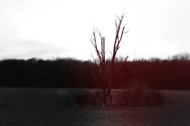 Radioactive Wallpapers By MidgeMurder On DeviantArt