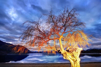 Desktop Wallpapers New HD Wallpapers Desktop Wallpapers ...