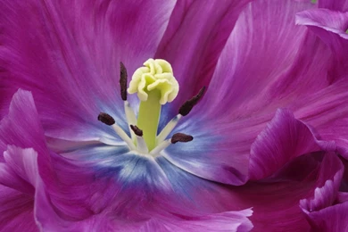 Computers Wallpapers — Free Full HD Wallpaper. Widescreen HQ ...