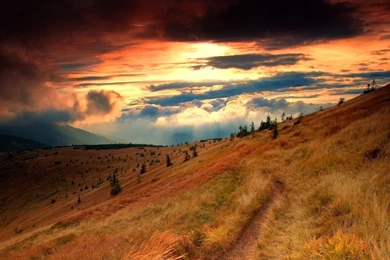 Grass Trees Red Sky 3D Desktop Wallpapers