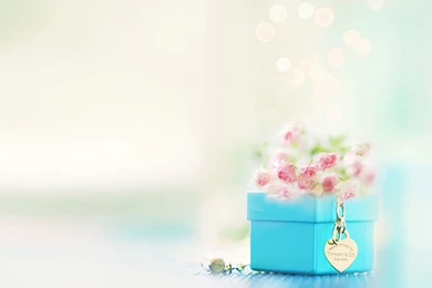 Perfect Gift « Download Blackberry, IPhone, Desktop And Android ...