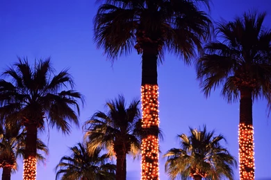 1920 X 1080 Christmas Lights   Bing Images