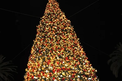 Images Of Christmas Tree   HD Wallpapers Pretty