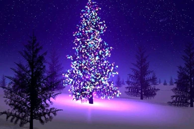 O CHRISTMAS TREE WALLPAPER   (