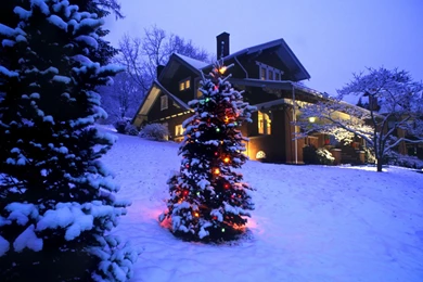 Christmas Tree Wallpapers For 2015 In HD & Facts
