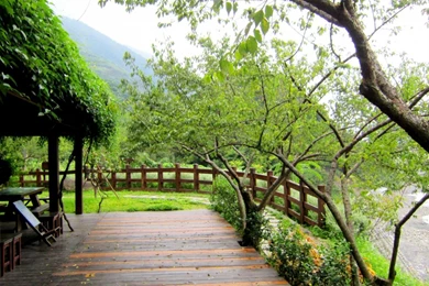 Garden Backgrounds Wallpapers