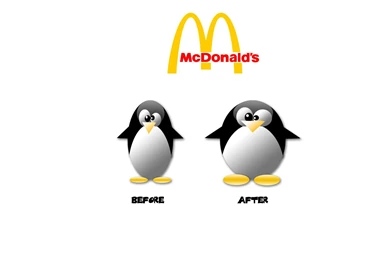 Funny Quotes Wallpapers, Funny Quotes, Quotes Images.   FUN Box