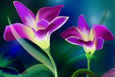 Wallpapers Computer Screen   Wallpapers Cave